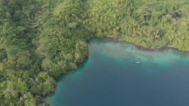 Aérea: volando sobre isla tropical Islas Banda Maluku Indonesia exuberante bahía de bosque verde de agua turquesa arrecife de coral destino turístico escénico. Perfil de color D-log cinelike nativo — Vídeos de Stock