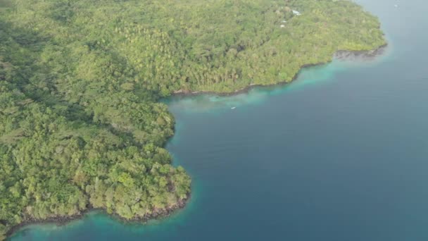 Aéreo: sobrevoando a ilha tropical Ilhas Banda Maluku Indonésia exuberante floresta verde baía de água turquesa recife de coral destino de viagem cênica. Perfil de cor nativo cinelike D-log — Vídeo de Stock