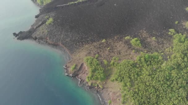 航空写真:バンダ諸島の活火山グヌンアピ溶岩の上を飛ぶマルクインドネシア緑豊かな緑の森ターコイズ水サンゴ礁の風光明媚な旅行先。ネイティブシネのようなD-logカラープロファイル — ストック動画
