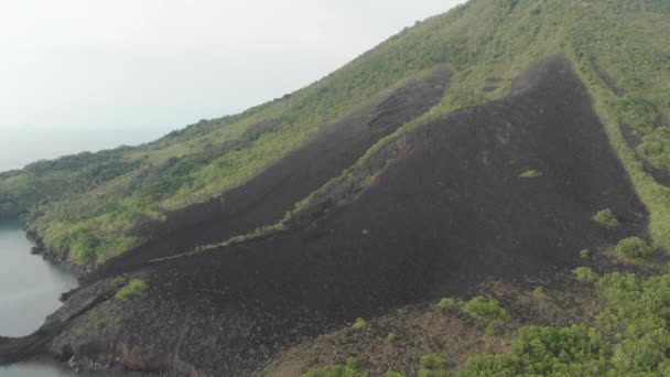 航空写真:バンダ諸島の活火山グヌンアピ溶岩の上を飛ぶマルクインドネシア緑豊かな緑の森ターコイズ水サンゴ礁の風光明媚な旅行先。ネイティブシネのようなD-logカラープロファイル — ストック動画