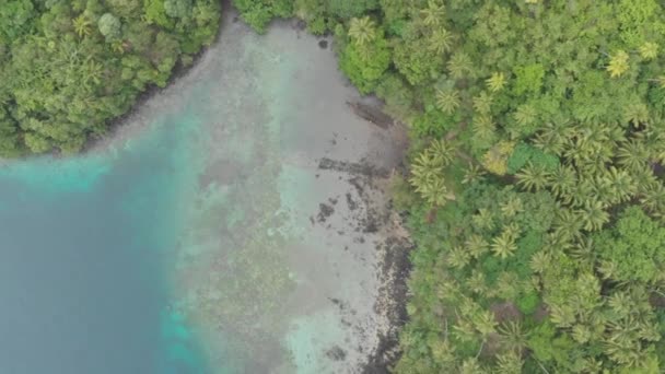 Aerial: pływające nad tropikalną wyspę banda wyspy Maluku Indonezji bujny zielony las zatoki turkusowej wody rafy koralowej malownicze miejsce podróży. Natywny profil kolorów D-log — Wideo stockowe