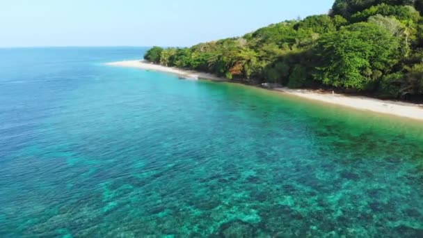航空写真 熱帯の島バンダ諸島マルクインドネシアモルディブの上空を飛ぶポリネシア緑豊かな森ターコイズウォーターサンゴ礁の風光明媚な旅行先 — ストック動画