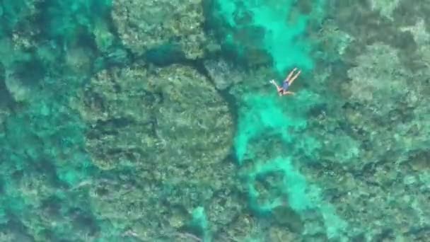 Aérea Mujer Haciendo Snorkel Arrecife Coral Caribe Tropical Mar Turquesa — Vídeo de stock