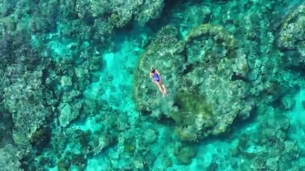 Aerial Slow Motion Woman Snorkeling Coral Reef Tropical Caribbean Sea — Stock Video