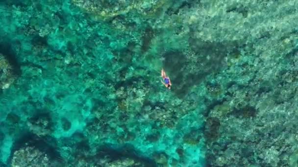 空中スローモーション サンゴ礁熱帯カリブ海ターコイズウォーターでシュノーケリング女性インドネシアバンダ諸島プラウハッタマルク 観光ダイビング旅行先 — ストック動画