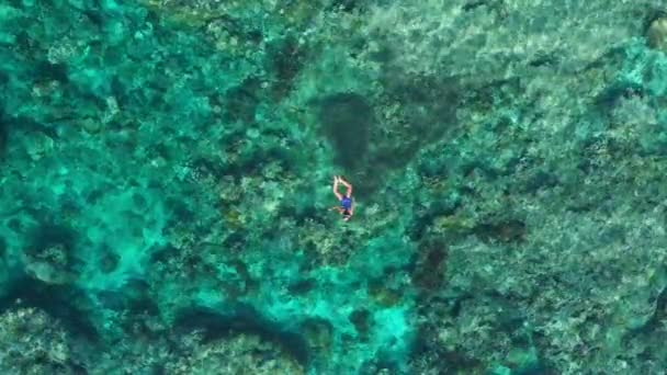 空中スローモーション サンゴ礁熱帯カリブ海ターコイズウォーターでシュノーケリング女性インドネシアバンダ諸島プラウハッタマルク 観光ダイビング旅行先 — ストック動画