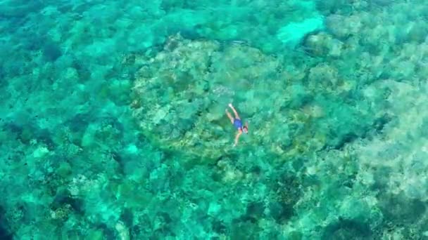 Movimento Lento Aéreo Mulher Snorkeling Recife Coral Tropical Caribe Mar — Vídeo de Stock