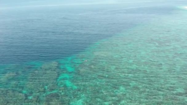 Aérien : femme plongée avec tuba sur le récif corallien tropical Caraïbes mer eau turquoise Indonésie Banda Islands Pulau Hatta Maluku, destination touristique de plongée. Profil de couleur cinelike D-log natif .
