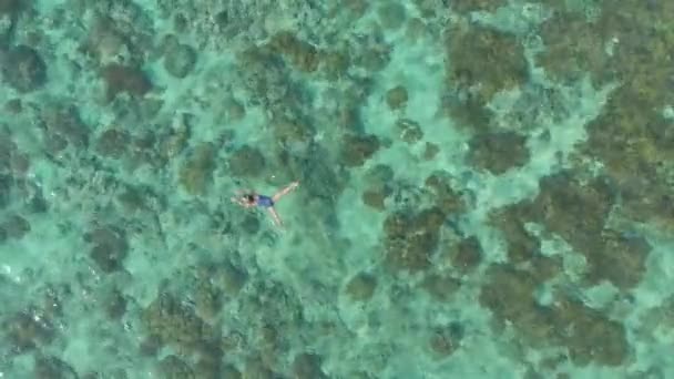 Aéreo Mulher Snorkeling Recife Coral Tropical Caribe Mar Azul Turquesa — Vídeo de Stock