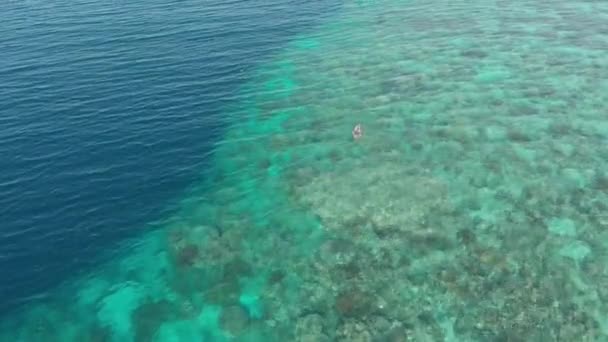 Antenne Vrouw Snorkelen Coral Reef Tropische Caribische Zee Turquoise Water — Stockvideo