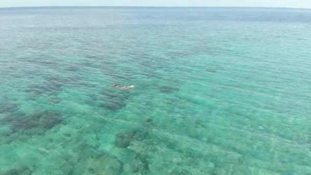 Aéreo Mulher Snorkeling Recife Coral Tropical Caribe Mar Azul Turquesa — Vídeo de Stock
