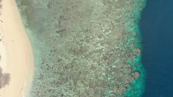 Aérien Survolant Île Tropicale Hatta Plage Sable Blanc Îles Banda — Video