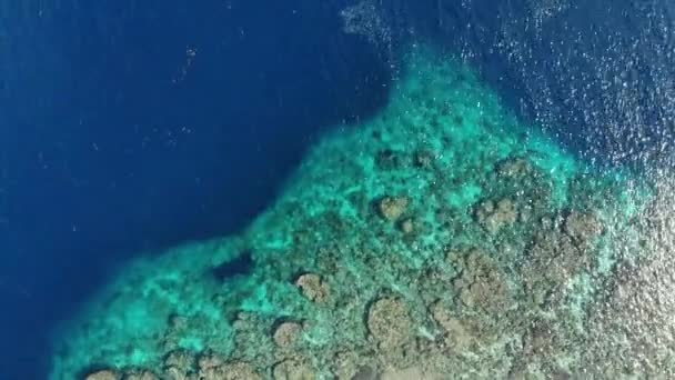 Aéreo Sobrevoando Tropical Hatta Ilha Recife Coral Ilhas Banda Maluku — Vídeo de Stock