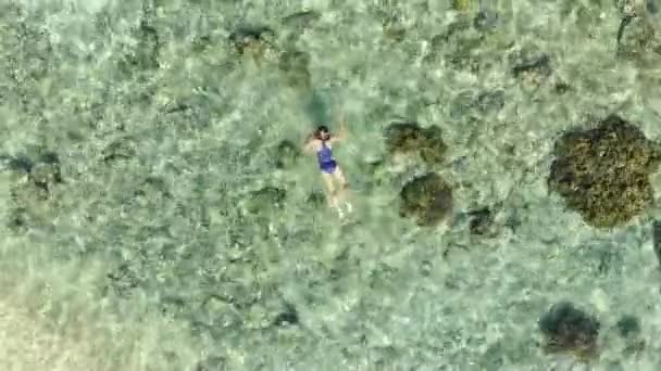 Aérea Mujer Haciendo Snorkel Arrecife Coral Hatta Island Caribe Tropical — Vídeo de stock