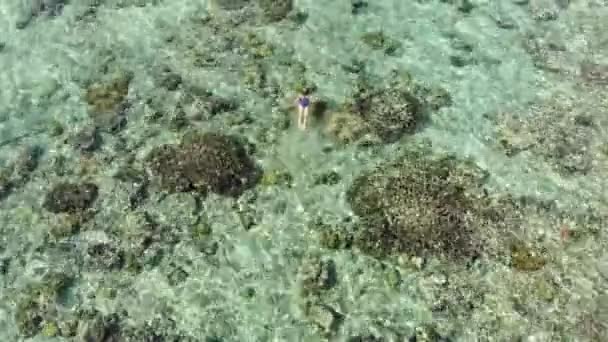 Aérea Mujer Haciendo Snorkel Arrecife Coral Hatta Island Caribe Tropical — Vídeo de stock