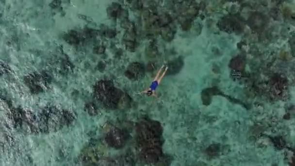 Aéreo Mulher Snorkeling Hatta Island Recife Coral Tropical Caribe Mar — Vídeo de Stock