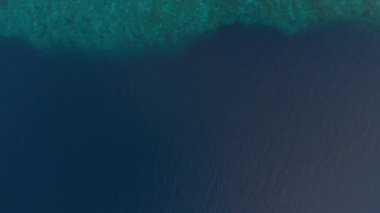 Hava: tropikal Hatta adası beyaz kum plaj Banda Adaları Maluku Endonezya yemyeşil orman turkuaz su mercan resifi doğal seyahat hedef üzerinde uçan. Yerli cinelike D-log renk profili
