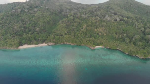 Aérien Survolant Île Tropicale Hatta Plage Sable Blanc Îles Banda — Video