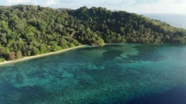 Hava: tropikal Hatta adası beyaz kum plaj Banda Adaları Maluku Endonezya yemyeşil orman turkuaz su mercan resifi doğal seyahat hedef üzerinde uçan. Yerli cinelike D-log renk profili