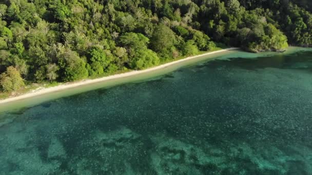 Aéreo: sobrevoando a ilha tropical Hatta praia de areia branca Ilhas Banda Maluku Indonésia exuberante floresta verde turquesa recife de coral de água destino de viagem cênica. Perfil de cor nativo cinelike D-log — Vídeo de Stock