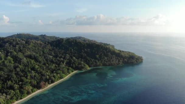 Aéreo: sobrevoando a ilha tropical Hatta praia de areia branca Ilhas Banda Maluku Indonésia exuberante floresta verde turquesa recife de coral de água destino de viagem cênica. Perfil de cor nativo cinelike D-log — Vídeo de Stock