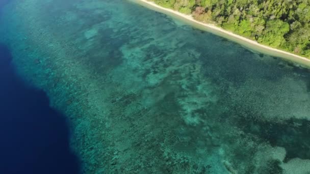 航空写真:熱帯ハッタ島の白い砂浜バンダ諸島マルクインドネシア緑豊かな緑の森ターコイズウォーターサンゴ礁の風光明媚な旅行先の上を飛ぶ。ネイティブシネのようなD-logカラープロファイル — ストック動画