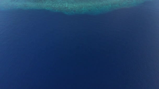 Letecká základna: létání přes tropickou pláž Hatta na bílém písečném břehu banda Islands Maluku Indonésie svěží zelený Les tyrkysové vodní korálové útesy malebný směr cestování. Nativní cinepodobné profil barev D-log — Stock video