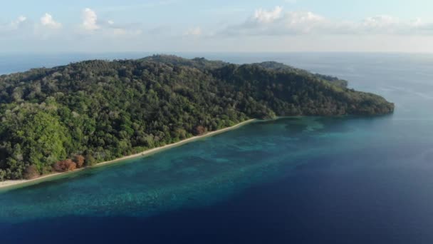 Aerea: sorvolando tropicale Isola di Hatta spiaggia di sabbia bianca Isole Banda Maluku Indonesia lussureggiante foresta verde acqua turchese barriera corallina scenica destinazione di viaggio. Profilo di colore D-log simile al cinema nativo — Video Stock