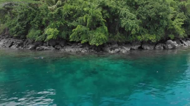 Εναέρια Γυναίκα Ψαροντούφεκο Για Pulau Gunung Api Ακτογραμμή Κοραλλιογενείς Υφάλους — Αρχείο Βίντεο