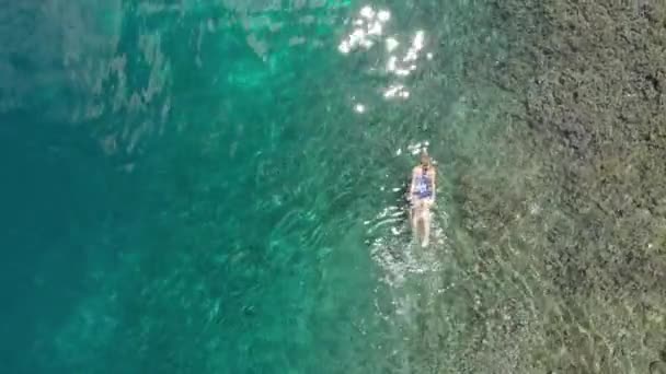 Aéreo Mulher Snorkeling Pulau Gunung Api Costa Recife Coral Tropical — Vídeo de Stock
