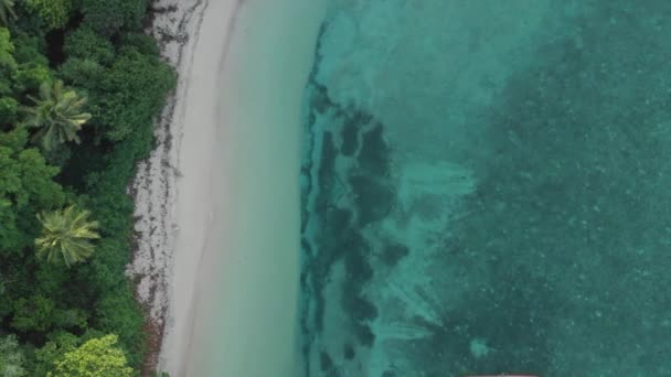 飞越热带艾岛白沙海滩班达群岛马鲁库印度尼西亚郁郁葱葱的绿色森林绿松石水珊瑚礁风景旅游胜地 原生电影式 Log 颜色配置文件 — 图库视频影像
