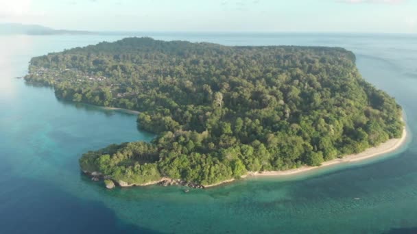 Aerea Sorvolando Tropicale Isola Spiaggia Sabbia Bianca Banda Isole Maluku — Video Stock