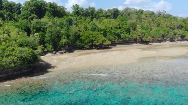 Aerial Sorvolando Tropicale Isola Spiaggia Sabbia Bianca Banda Isole Maluku — Video Stock