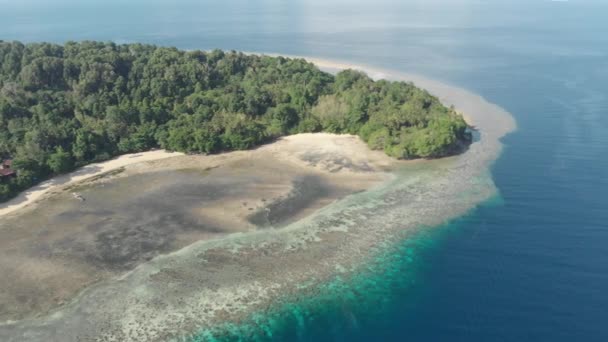 Antenne Vliegen Tropisch Eiland Koraalriffen Zandstrand Banda Eilanden Maluku Indonesia — Stockvideo