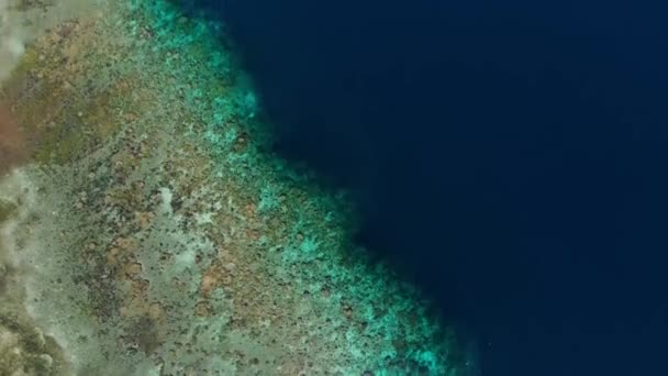 航空写真 熱帯アイ島サンゴ礁砂浜バンダ諸島マルクインドネシアターコイズ水風光明媚な旅行先の上を飛ぶ — ストック動画