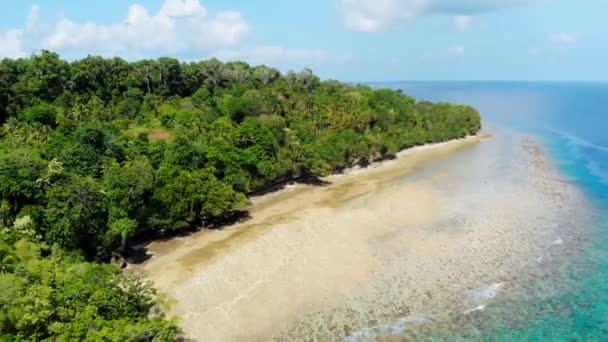 航空写真 熱帯アイ島サンゴ礁砂浜バンダ諸島マルクインドネシア緑豊かな緑の森ターコイズウォーターナツメグプランテーションの上を飛ぶ旅行先 — ストック動画