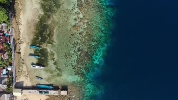 航空写真 熱帯アイ島サンゴ礁砂浜バンダ諸島マルクインドネシアターコイズ水風光明媚な旅行先の上を飛ぶ — ストック動画