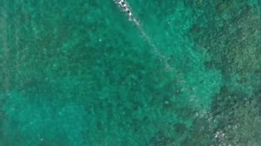 Hava: Banda Adaları, Maluku, Endonezya güzel denizde Bandaneira kora-kora geleneksel kano yıllık yarış aşağı yukarıdan aşağıya. Yerli cinelike D-log renk profili