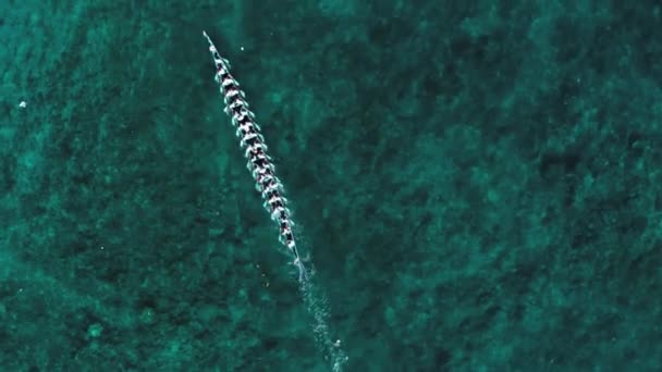 Aerial Lassítás Felülről Lefelé Kora Kora Hagyományos Kenu Éves Verseny — Stock videók