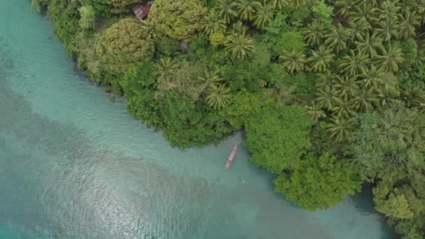 Aérea: volando sobre las Islas Banda Pulau Gunung Api Maluku Indonesia exuberante bosque verde turquesa agua arrecife de coral tradicional canoa destino turístico escénico. Perfil de color D-log cinelike nativo . — Vídeos de Stock