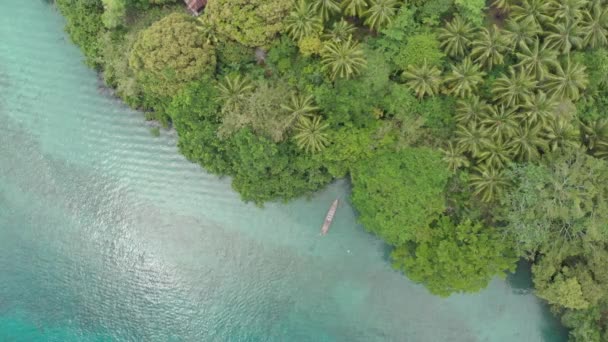 Aérea: vista aérea Islas Banda Pulau Gunung Api costa Maluku Indonesia exuberante bosque verde agua turquesa arrecife de coral tradicional canoa destino de viaje. Perfil de color D-log cinelike nativo — Vídeos de Stock