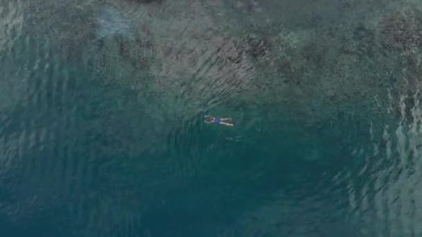 プラウグヌンアピの海岸線サンゴ礁熱帯カリブ海ターコイズウォーターインドネシアバンダ諸島マルクインドネシアでシュノーケリング女性 ネイティブシネのようなD Logカラープロファイル — ストック動画