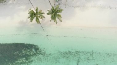 Hava: beyaz kum plaj tropikal Kei Adaları Maluku Endonezya yemyeşil palmiye ağacı orman turkuaz su mercan resifi üzerinde uçan. Yerli cinelike D-log renk profili