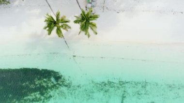 Hava yavaş hareket: beyaz kum plaj tropikal Kei Adaları Maluku Endonezya yemyeşil palmiye ağacı orman turkuaz su mercan resifi üzerinde uçan. Yerli cinelike D-log renk profili