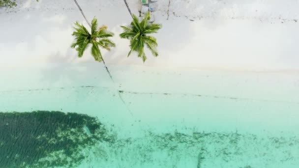 空中スローモーション 白い砂浜の上を飛ぶ熱帯ケイ諸島マルクインドネシア緑豊かなヤシの木の森ターコイズウォーターサンゴ礁 ネイティブシネのようなD Logカラープロファイル — ストック動画