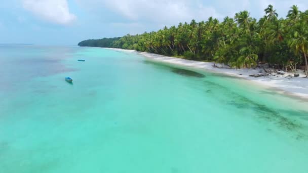Антена Жінка Розслабляє Білому Піску Пляж Бірюзового Води Тропічний Wab — стокове відео