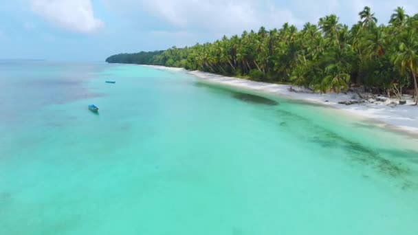 Aéreo Mulher Relaxando Praia Areia Branca Água Azul Turquesa Tropical — Vídeo de Stock