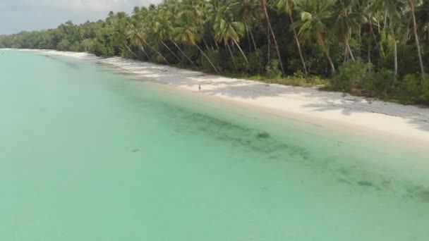 Aéreo Mulher Caminhando Praia Areia Branca Água Azul Turquesa Tropical — Vídeo de Stock