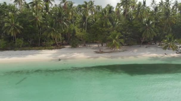 妇女放松在白色沙滩绿松石水热带瓦布凯群岛马鲁库印度尼西亚郁郁葱葱的棕榈树天堂旅游目的地 原生电影式 Log 颜色配置文件 — 图库视频影像