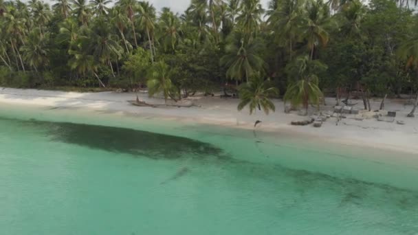 Aéreo Mulher Relaxando Praia Areia Branca Água Azul Turquesa Tropical — Vídeo de Stock